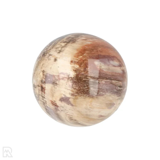 Versteinerte Holzkugel aus Madagaskar mit der Artikelnummer 19981