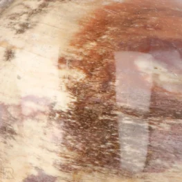 Versteinerte Holzkugel aus Madagaskar mit der Artikelnummer 19981