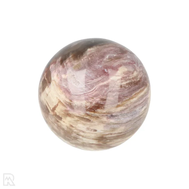Versteinerte Holzkugel aus Madagaskar mit der Artikelnummer 19983