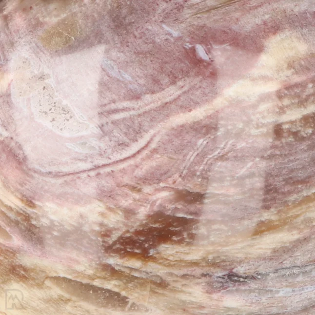 Versteinerte Holzkugel aus Madagaskar mit der Artikelnummer 19983