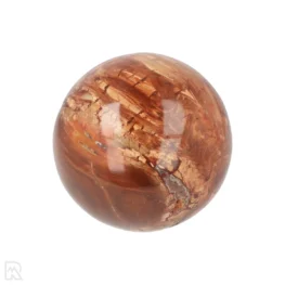 Versteinerte Holzkugel aus Madagaskar mit der Artikelnummer 19984
