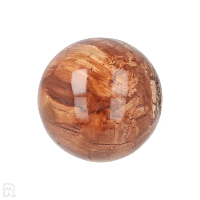 Versteinerte Holzkugel aus Madagaskar mit der Artikelnummer 19984