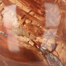 Versteinerte Holzkugel aus Madagaskar mit der Artikelnummer 19984