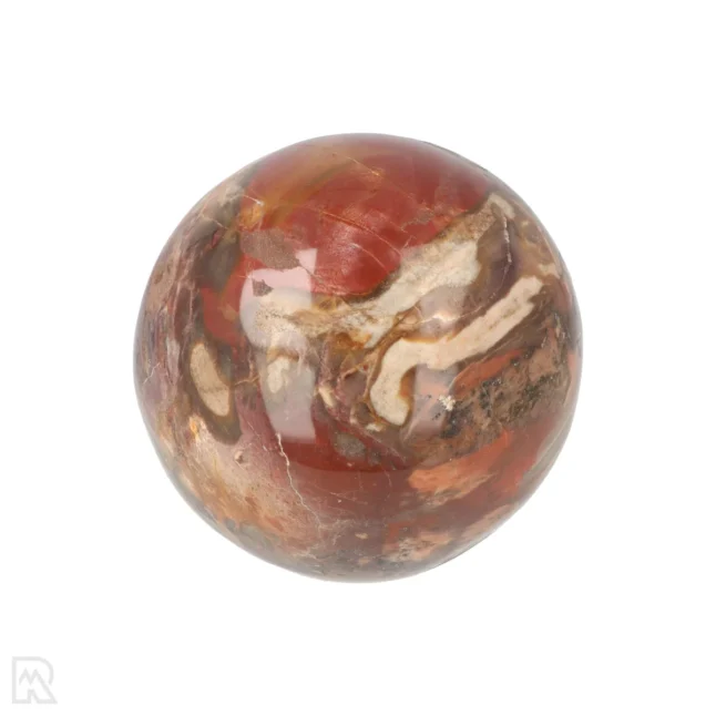 Versteinerte Holzkugel aus Madagaskar mit der Artikelnummer 19986