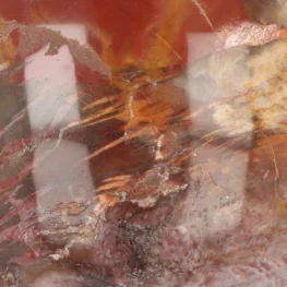 Versteinerte Holzkugel aus Madagaskar mit der Artikelnummer 19986