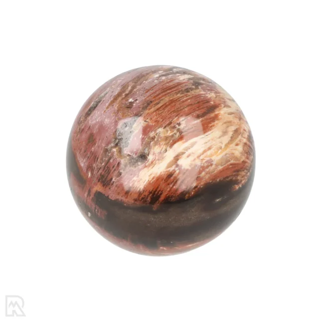 Versteinerte Holzkugel aus Madagaskar mit der Artikelnummer 19987