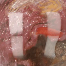 Versteinerte Holzkugel aus Madagaskar mit der Artikelnummer 19990