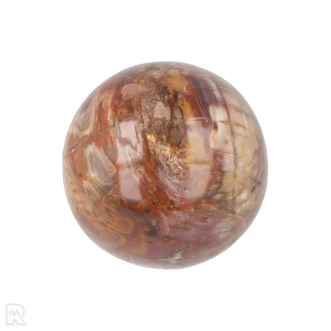 Versteinerte Holzkugel aus Madagaskar mit der Artikelnummer 19991