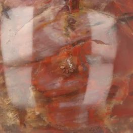 Versteinerte Holzkugel aus Madagaskar mit der Artikelnummer 19991