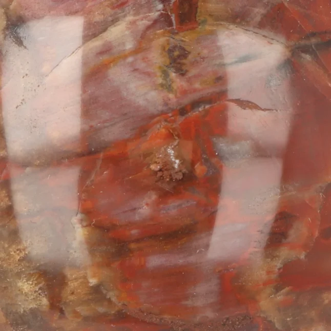 Versteinerte Holzkugel aus Madagaskar mit der Artikelnummer 19991
