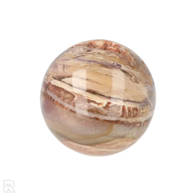 Versteinerte Holzkugel aus Madagaskar mit der Artikelnummer 19993