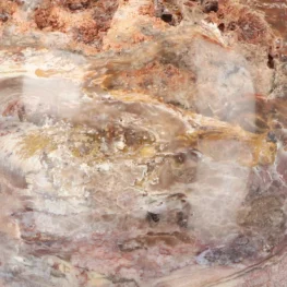 Versteinerte Holzkugel aus Madagaskar mit der Artikelnummer 19993