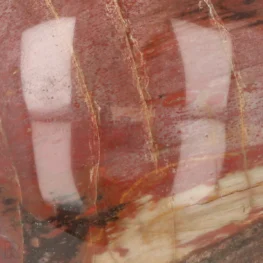 Versteinerte Holzkugel aus Madagaskar mit der Artikelnummer 19994
