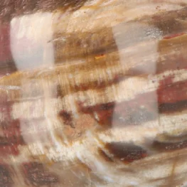 Versteinerte Holzkugel aus Madagaskar mit der Artikelnummer 19995