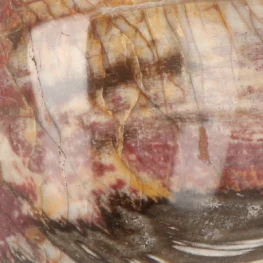 Versteinerte Holzkugel aus Madagaskar mit der Artikelnummer 19997