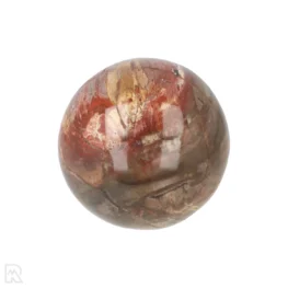 Versteend Hout Bol uit Madagaskar met artikelnummer 19998