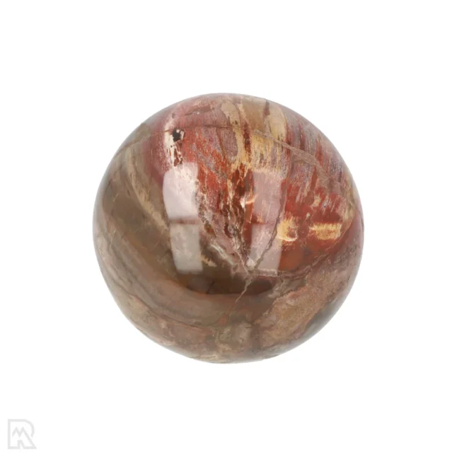 Versteend Hout Bol uit Madagaskar met artikelnummer 19998