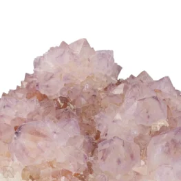 Cactus - Spirit Amethist Cluster uit Zuid-Afrika met artikelnummer 20036