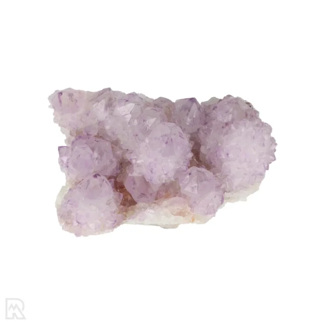 Cactus - Spirit Amethist Cluster uit Zuid-Afrika met artikelnummer 20037