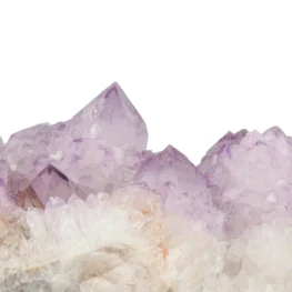 Cactus - Spirit Amethist Cluster uit Zuid-Afrika met artikelnummer 20037