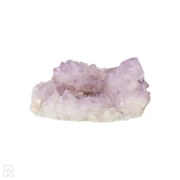 Cactus - Spirit Amethist Cluster uit Zuid-Afrika met artikelnummer 20039