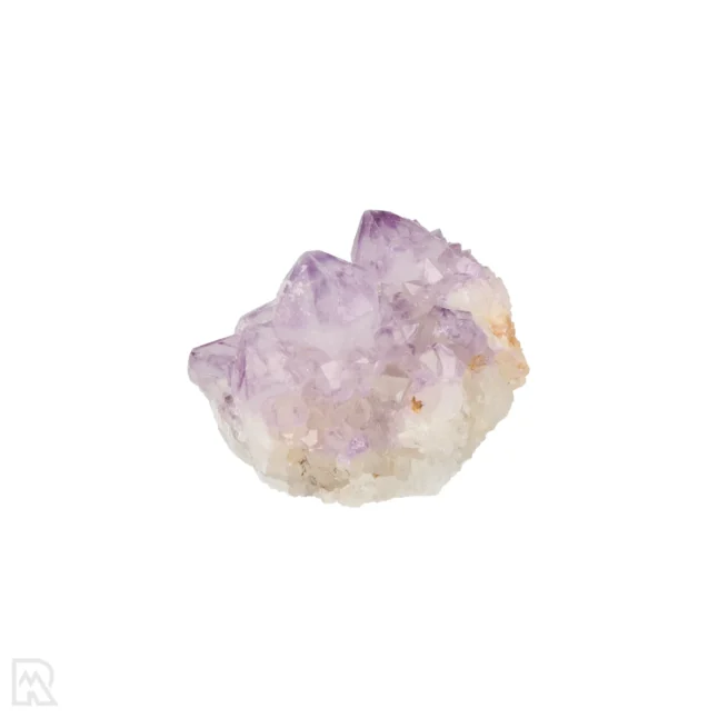 Cactus - Spirit Amethist Cluster uit Zuid-Afrika met artikelnummer 20039