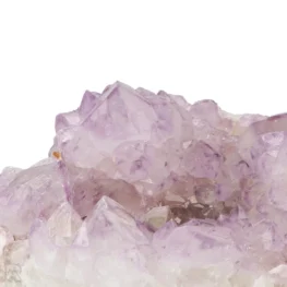 Cactus - Spirit Amethist Cluster uit Zuid-Afrika met artikelnummer 20039