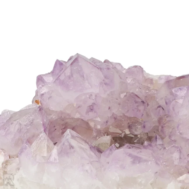 Cactus - Spirit Amethist Cluster uit Zuid-Afrika met artikelnummer 20039