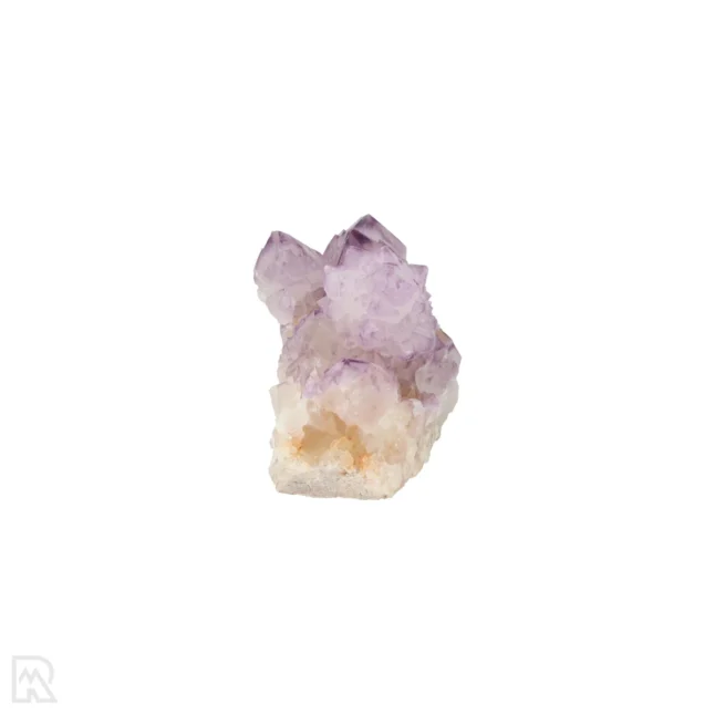 Cactus - Spirit Amethist Cluster uit Zuid-Afrika met artikelnummer 20040