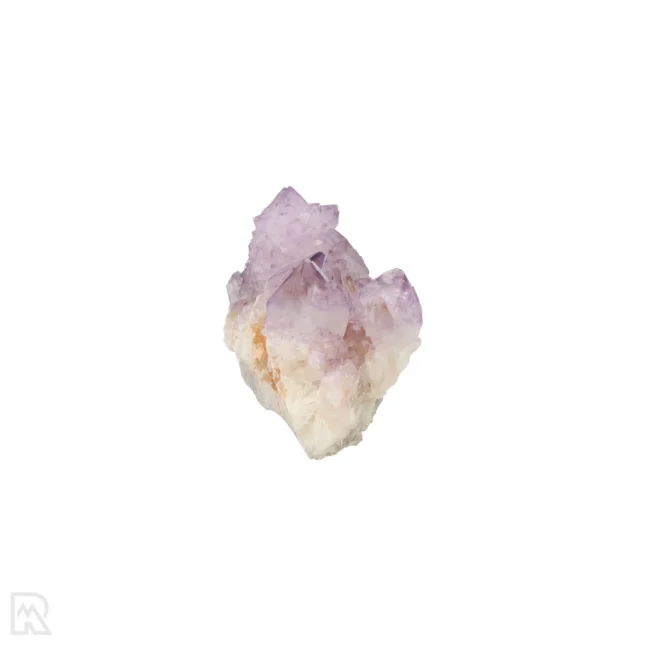 Cactus - Spirit Amethist Cluster uit Zuid-Afrika met artikelnummer 20040