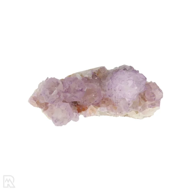 Cactus - Spirit Amethist Cluster uit Zuid-Afrika met artikelnummer 20040