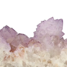 Cactus - Spirit Amethist Cluster uit Zuid-Afrika met artikelnummer 20040