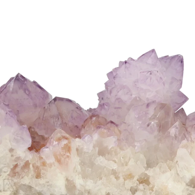 Cactus - Spirit Amethist Cluster uit Zuid-Afrika met artikelnummer 20040