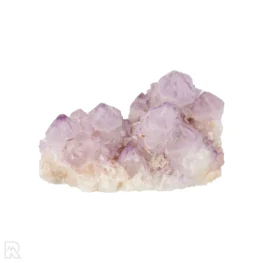 Cactus - Spirit Amethist Cluster uit Zuid-Afrika met artikelnummer 20041