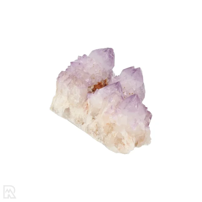 Cactus - Spirit Amethist Cluster uit Zuid-Afrika met artikelnummer 20041