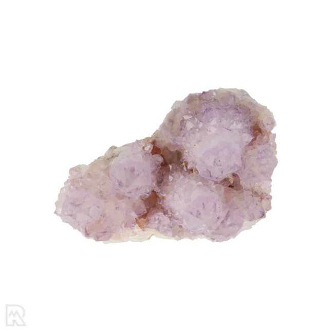 Cactus - Spirit Amethist Cluster uit Zuid-Afrika met artikelnummer 20041
