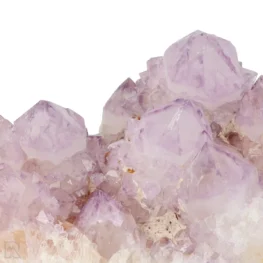 Cactus - Spirit Amethist Cluster uit Zuid-Afrika met artikelnummer 20041