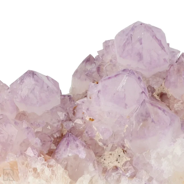 Cactus - Spirit Amethist Cluster uit Zuid-Afrika met artikelnummer 20041