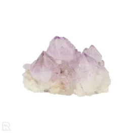 Cactus - Spirit Amethist Cluster uit Zuid-Afrika met artikelnummer 20042