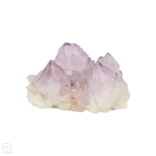 Cactus - Spirit Amethist Cluster uit Zuid-Afrika met artikelnummer 20042
