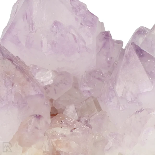 Cactus - Spirit Amethist Cluster uit Zuid-Afrika met artikelnummer 20042