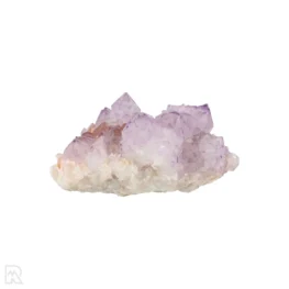 Cactus - Spirit Amethist Cluster uit Zuid-Afrika met artikelnummer 20043