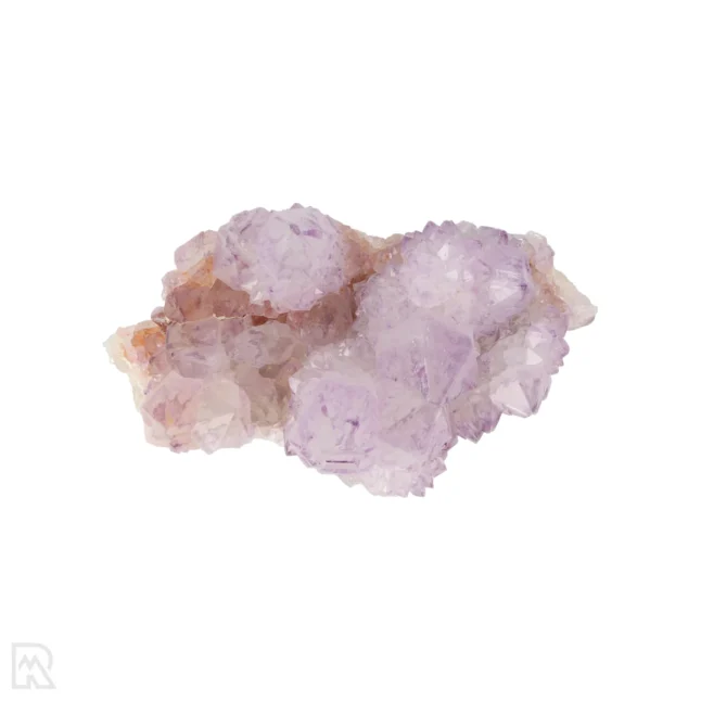 Cactus - Spirit Amethist Cluster uit Zuid-Afrika met artikelnummer 20043