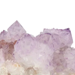 Cactus - Spirit Amethist Cluster uit Zuid-Afrika met artikelnummer 20043