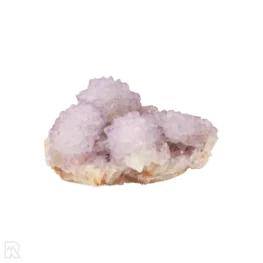 Cactus - Spirit Amethist Cluster uit Zuid-Afrika met artikelnummer 20044