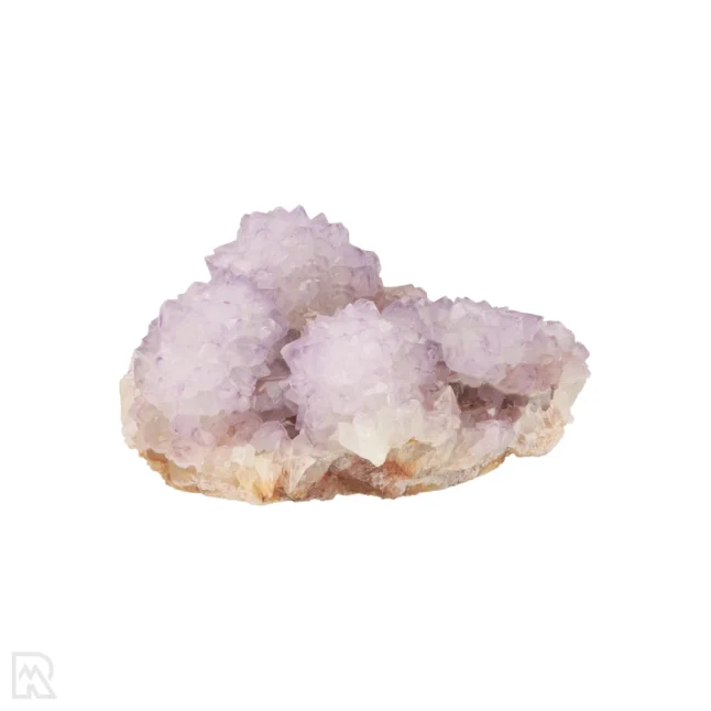 Cactus - Spirit Amethist Cluster uit Zuid-Afrika met artikelnummer 20044