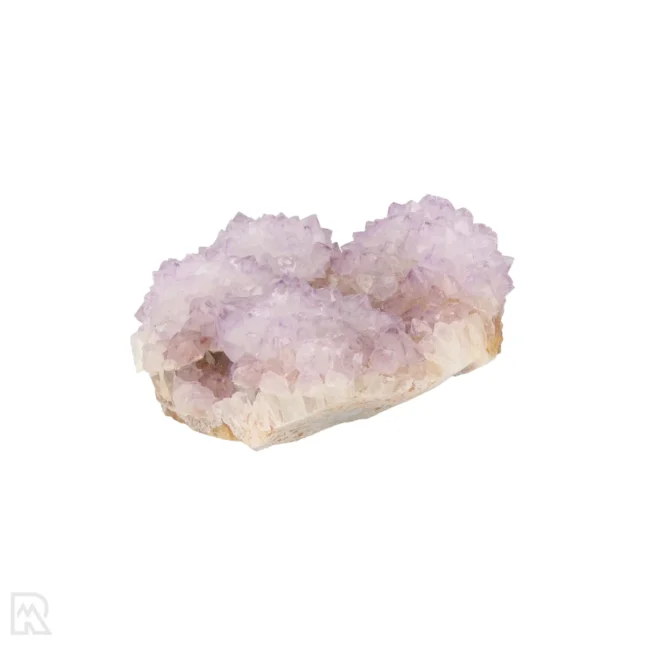 Cactus - Spirit Amethist Cluster uit Zuid-Afrika met artikelnummer 20044