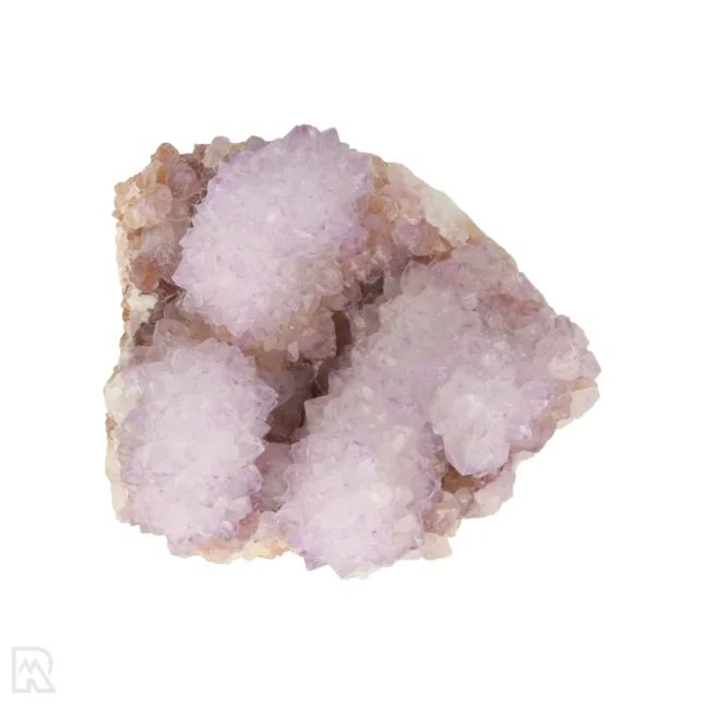 Cactus - Spirit Amethist Cluster uit Zuid-Afrika met artikelnummer 20044