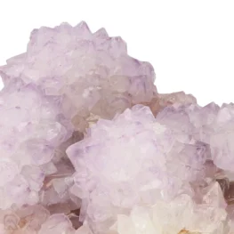 Cactus - Spirit Amethist Cluster uit Zuid-Afrika met artikelnummer 20044