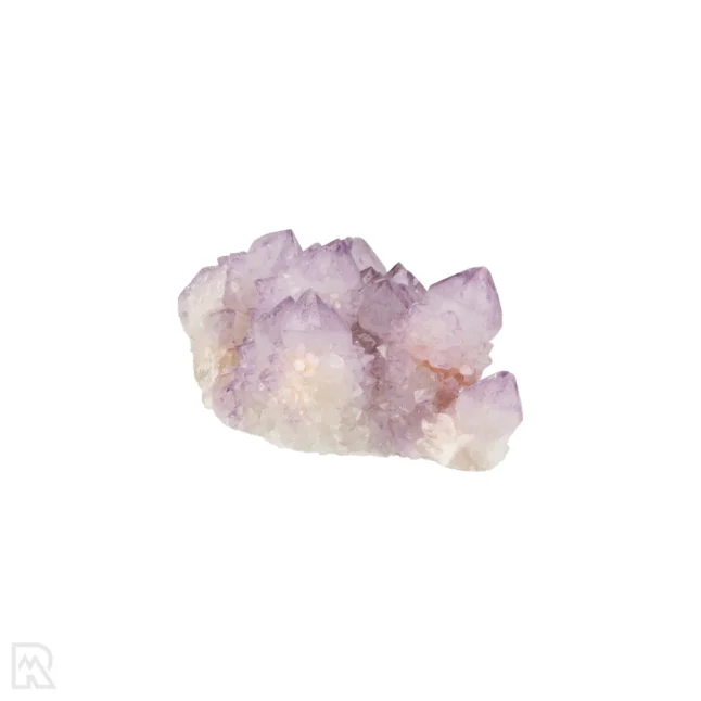 Cactus - Spirit Amethist Cluster uit Zuid-Afrika met artikelnummer 20045